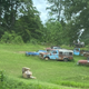Illustration for article titled Cars of southern Indiana
